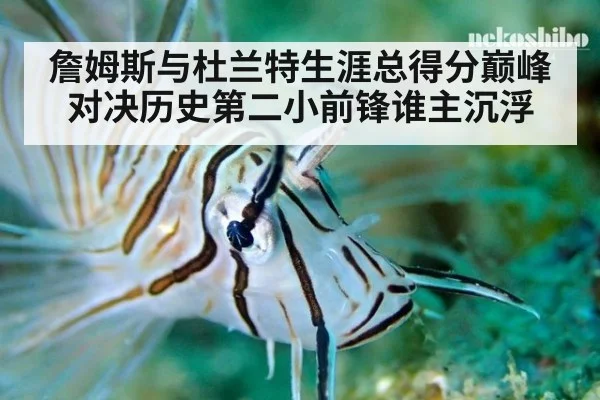詹姆斯与杜兰特生涯总得分巅峰对决历史第二小前锋谁主沉浮